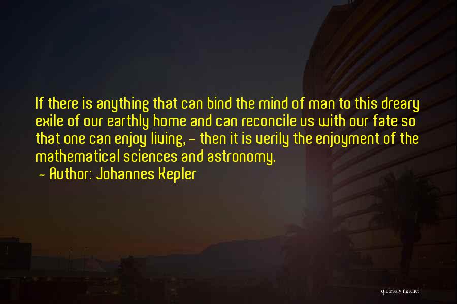 Math And Life Quotes By Johannes Kepler