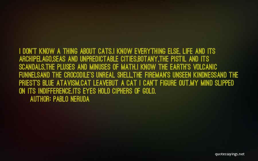 Math And Life Quotes By Pablo Neruda