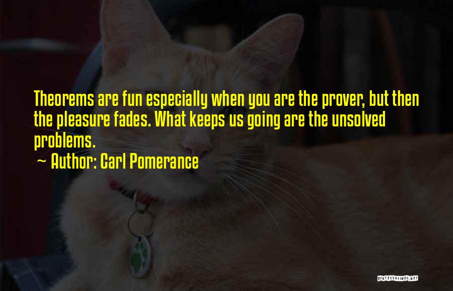 Math Is Fun Quotes By Carl Pomerance
