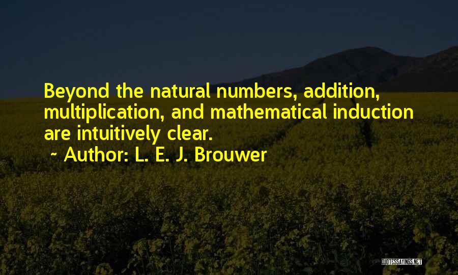 Mathematical Induction Quotes By L. E. J. Brouwer