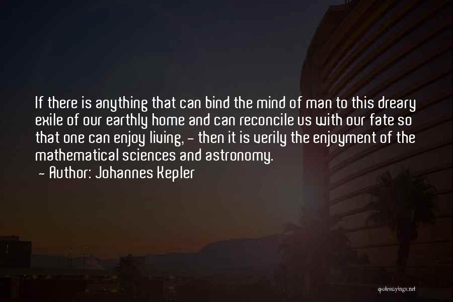 Mathematics And Life Quotes By Johannes Kepler