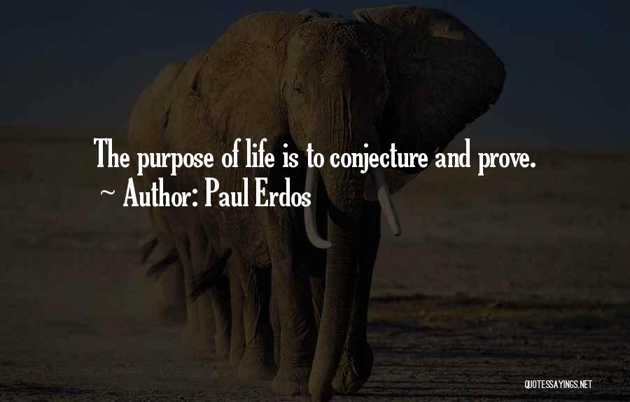 Mathematics And Life Quotes By Paul Erdos