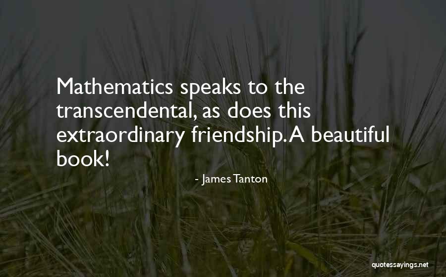 Mathematics Quotes By James Tanton