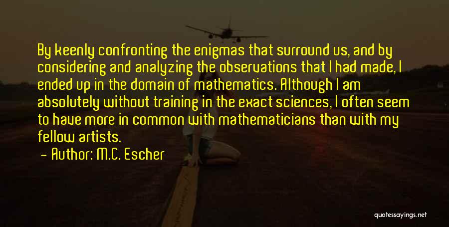 Mathematics Quotes By M.C. Escher