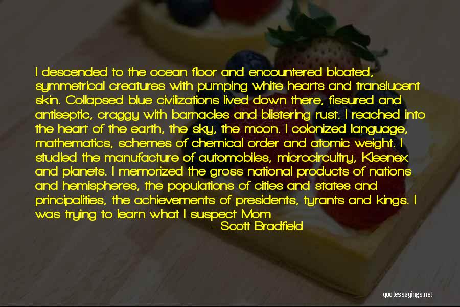 Mathematics Quotes By Scott Bradfield