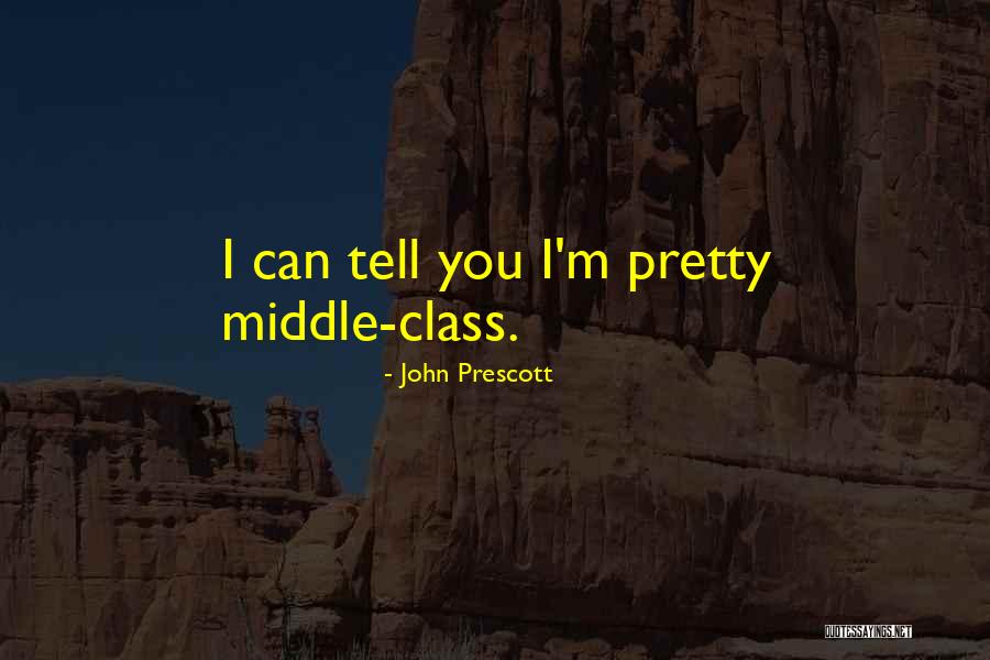 Mathematize It K 2 Quotes By John Prescott Mathematize It K 2 Quotes By John Prescott