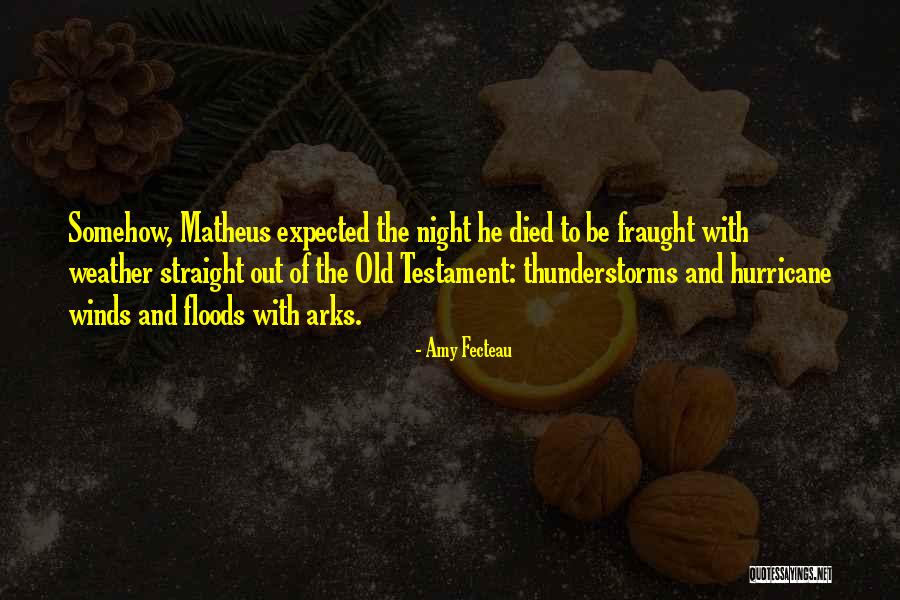 Matheus Quotes By Amy Fecteau Matheus Quotes By Amy Fecteau