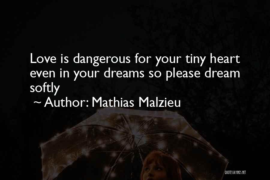 Mathias Quotes By Mathias Malzieu