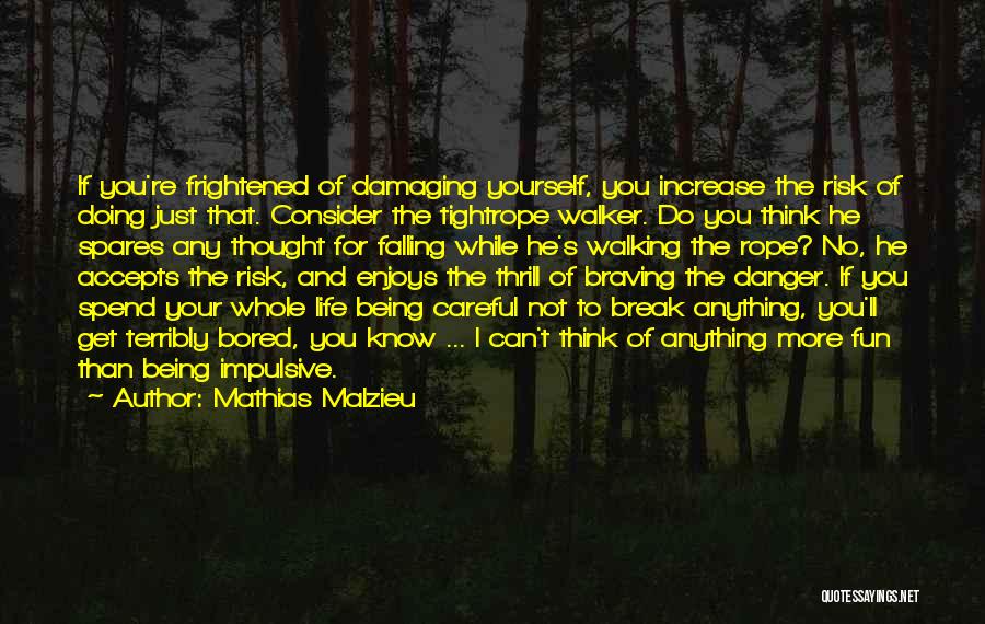 Mathias Quotes By Mathias Malzieu