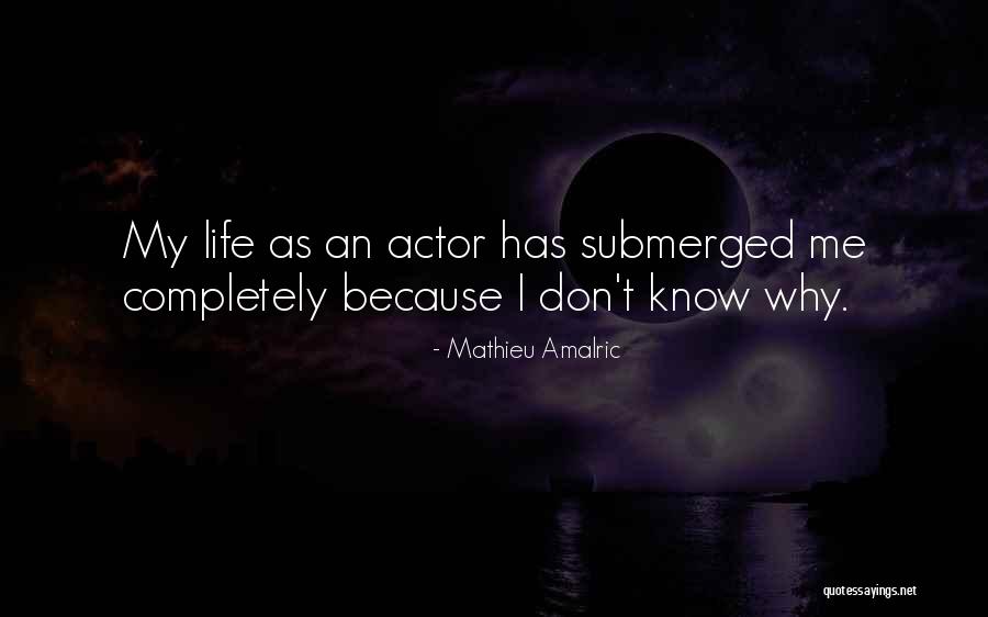 Mathieu Amalric Quotes 692757 Mathieu Amalric Quotes 692757