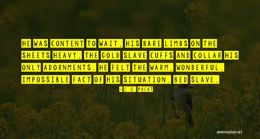 Matija Cvek Quotes By C.S. Pacat Matija Cvek Quotes By C.S. Pacat
