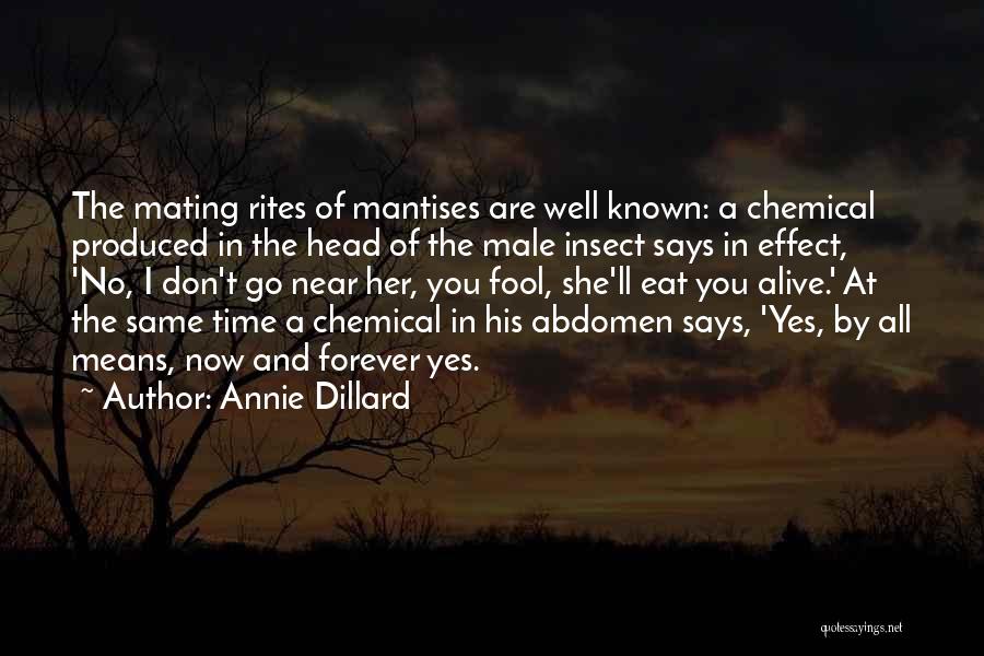 Mating Quotes By Annie Dillard