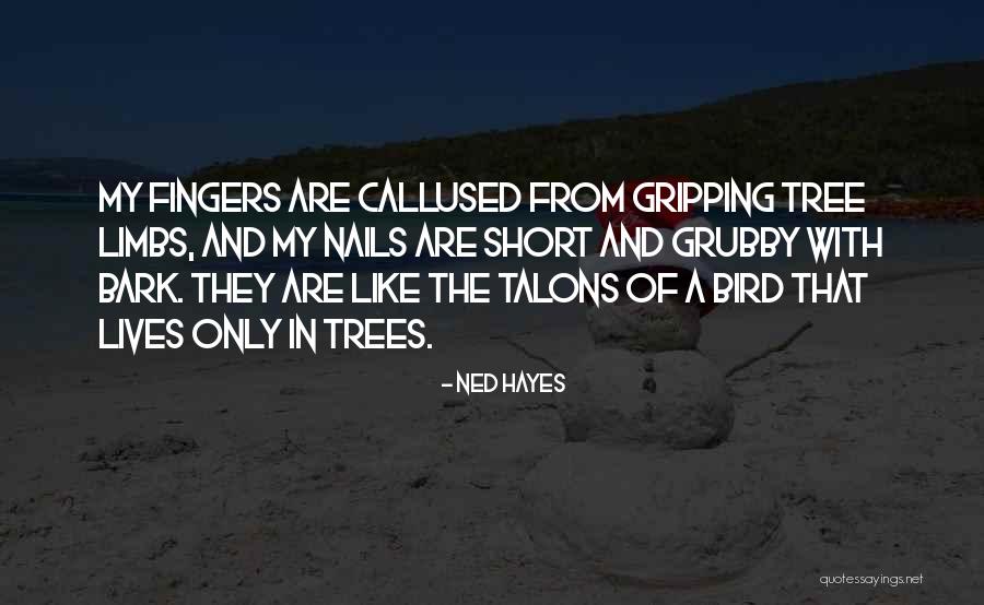 Mationstar Quotes By Ned Hayes Mationstar Quotes By Ned Hayes