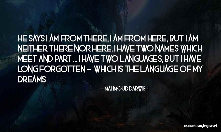 Matovich And Mclean Quotes By Mahmoud Darwish Matovich And Mclean Quotes By Mahmoud Darwish