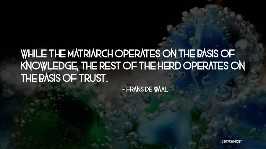 Matriarch Quotes By Frans De Waal Matriarch Quotes By Frans De Waal