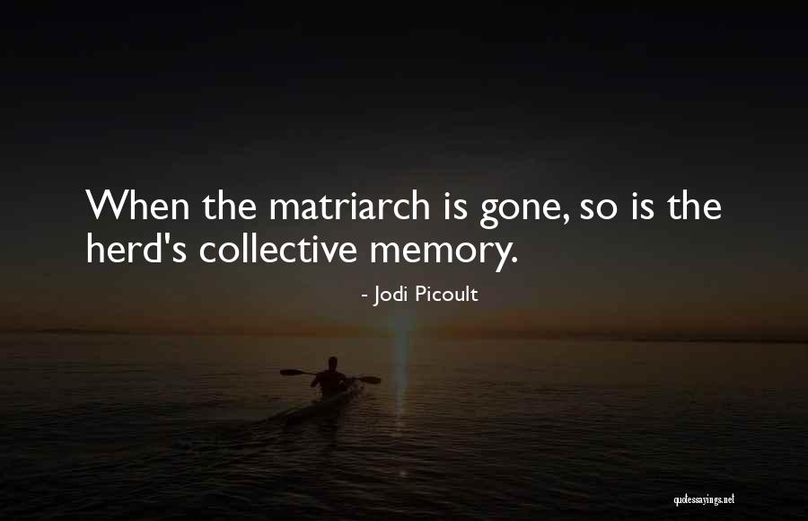 Matriarch Quotes By Jodi Picoult Matriarch Quotes By Jodi Picoult