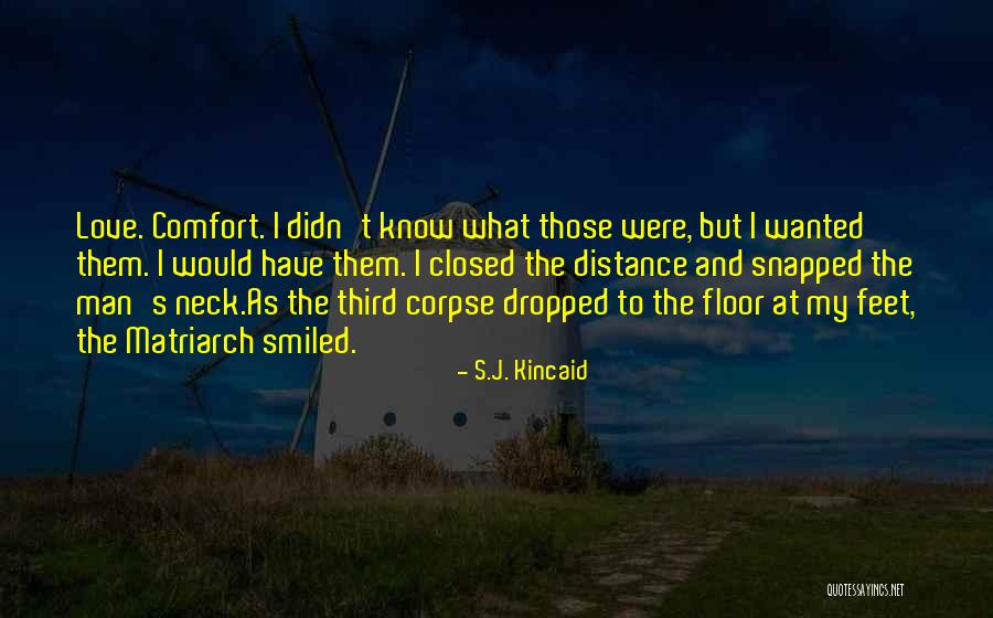 Matriarch Quotes By S.J. Kincaid Matriarch Quotes By S.J. Kincaid