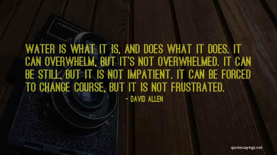 Matriculation Certificate Quotes By David Allen