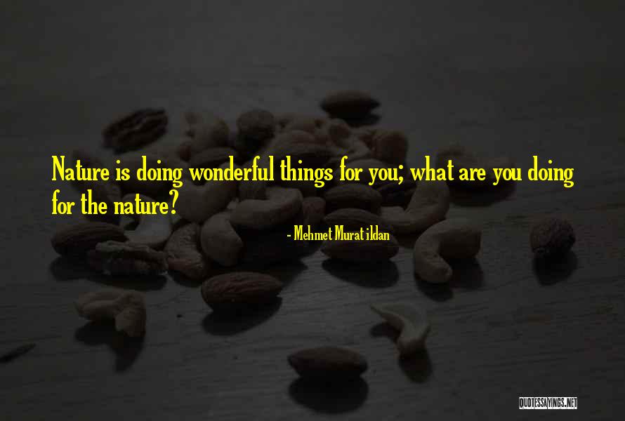 Matrise Organisering Quotes By Mehmet Murat Ildan Matrise Organisering Quotes By Mehmet Murat Ildan
