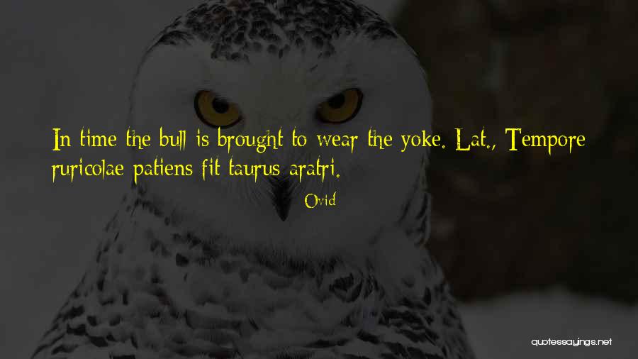 Matsakis Quotes By Ovid Matsakis Quotes By Ovid