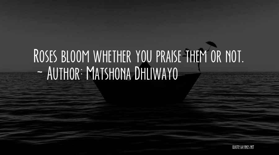 Matshona Dhliwayo Quotes 933418