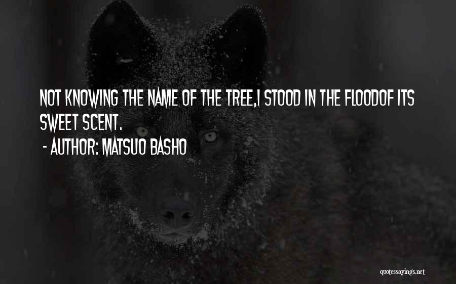 Matsuo Basho Quotes 1141615