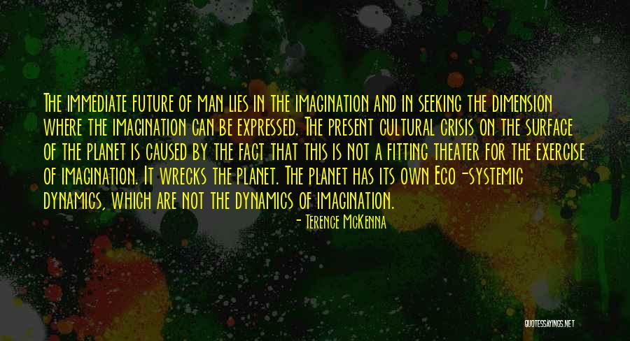 Matsuyoshi Arashiro Quotes By Terence McKenna Matsuyoshi Arashiro Quotes By Terence McKenna
