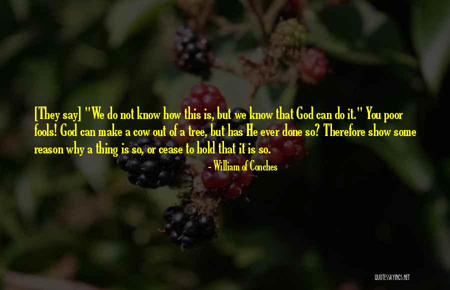 Matsuzaka Tei Quotes By William Of Conches Matsuzaka Tei Quotes By William Of Conches