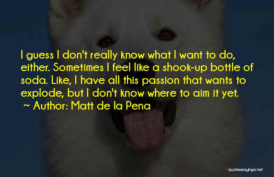 Matt De La Pena Quotes 2083338