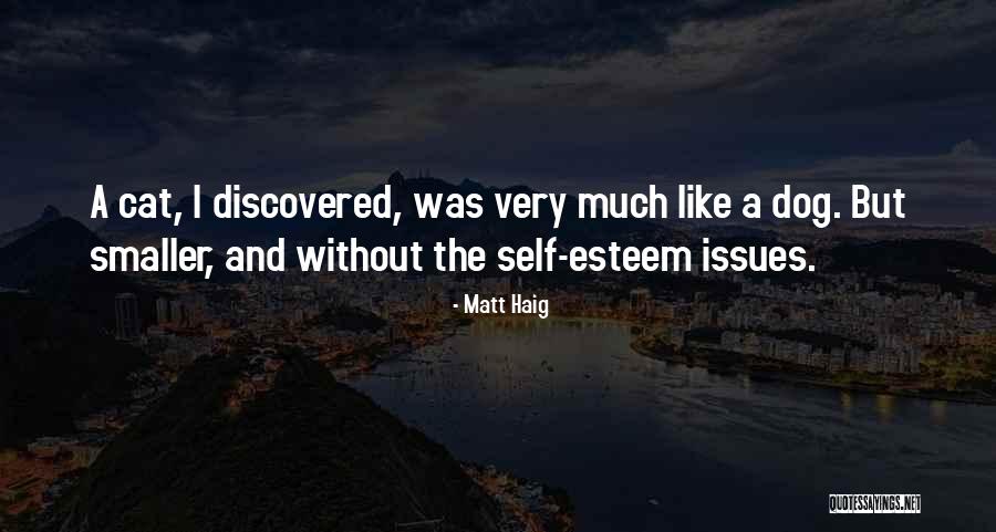 Matt Haig Quotes 1597309