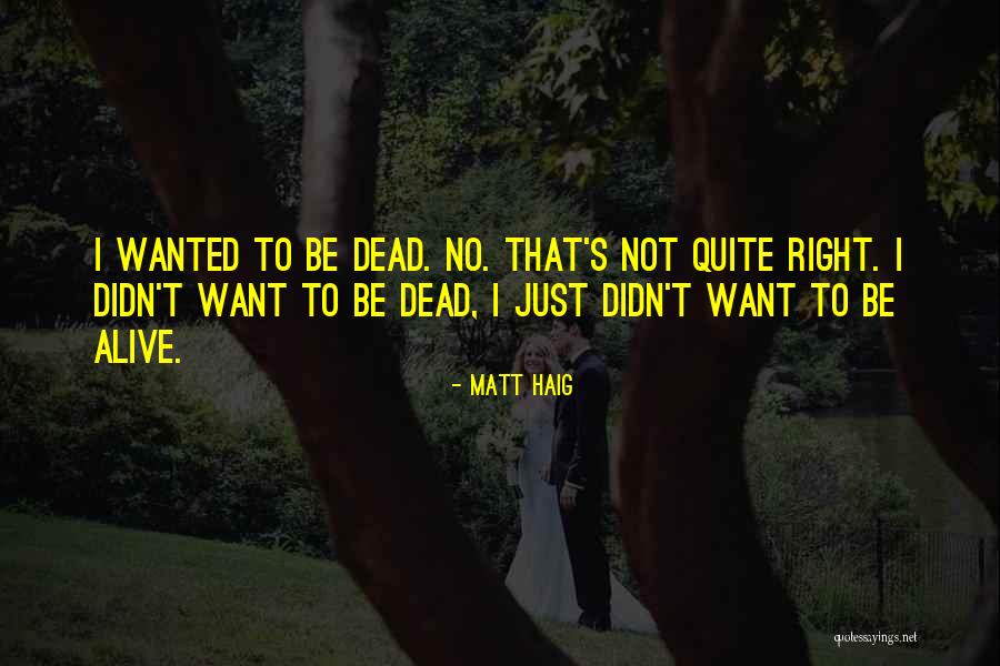 Matt Haig Quotes 1648406