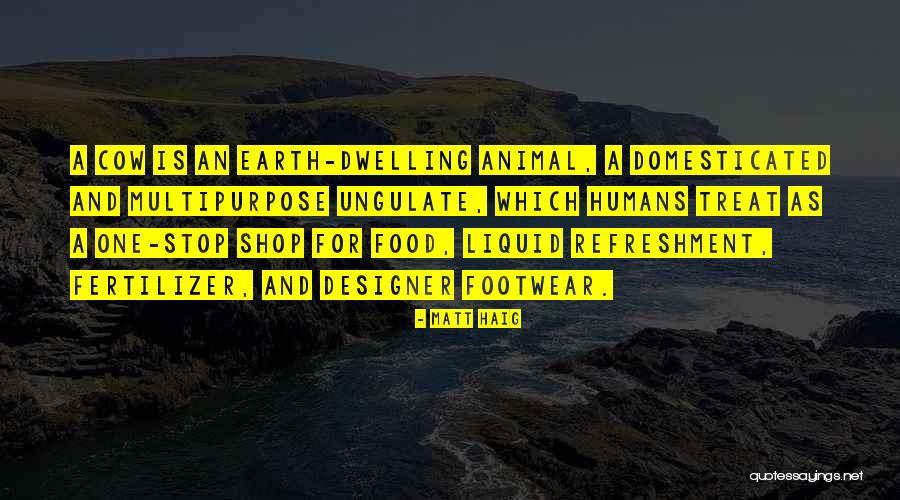 Matt Haig Quotes 2213740 Matt Haig Quotes 2213740