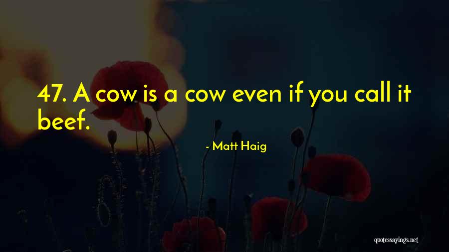 Matt Haig Quotes 469536 Matt Haig Quotes 469536