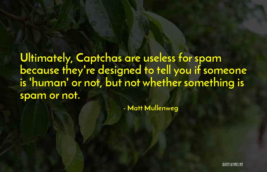 Matt Mullenweg Quotes 1027165