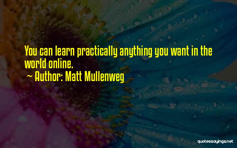 Matt Mullenweg Quotes 1192575