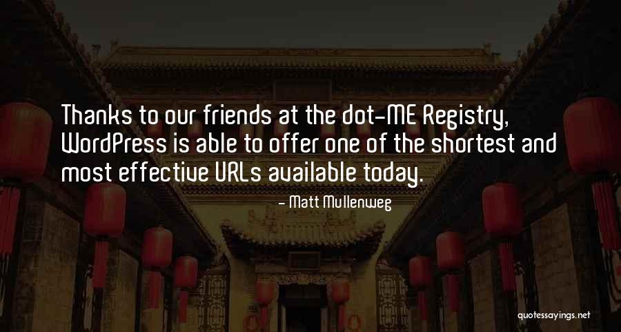 Matt Mullenweg Quotes 1354194