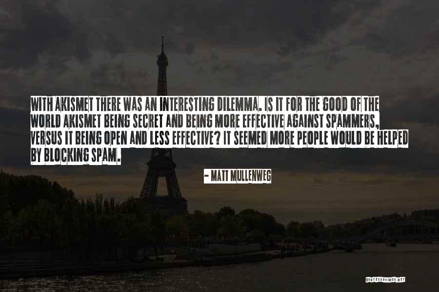 Matt Mullenweg Quotes 2218222