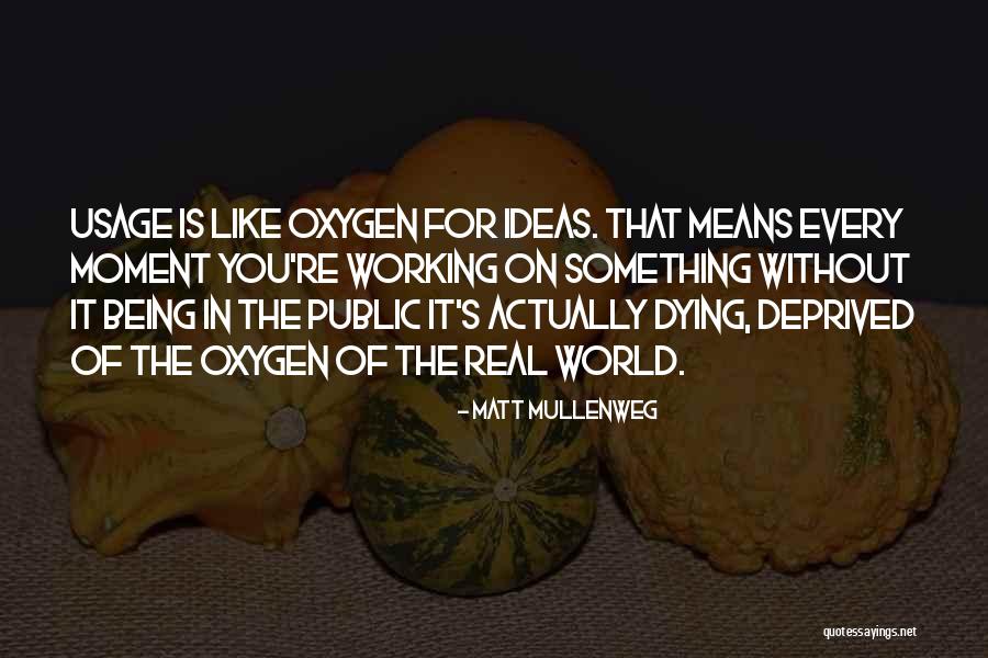 Matt Mullenweg Quotes 408292