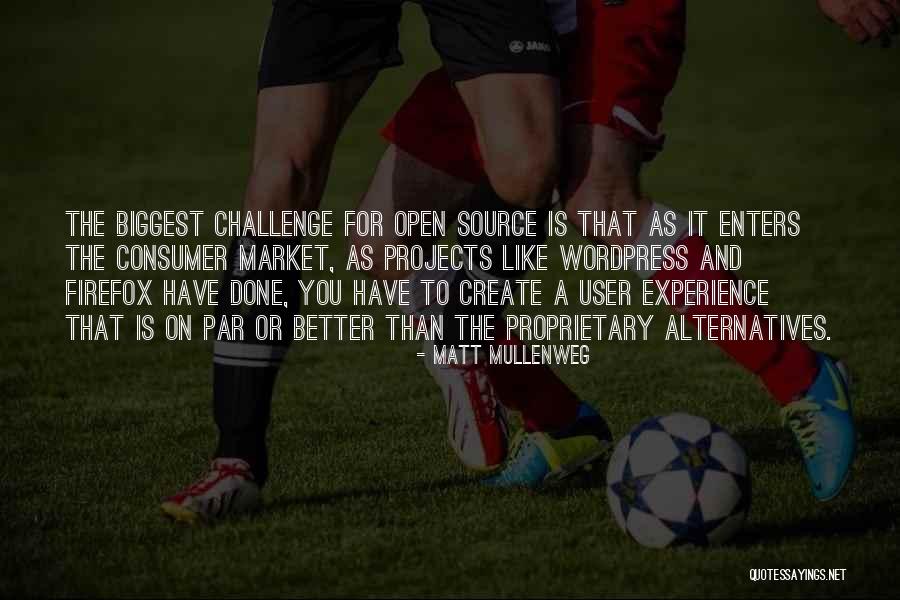 Matt Mullenweg Quotes 521406