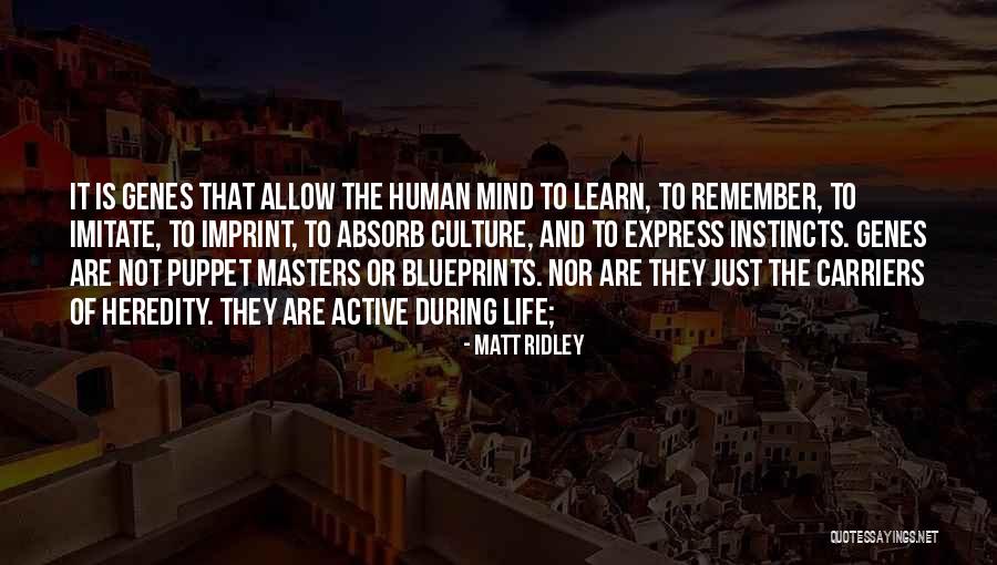 Matt Ridley Quotes 1412217 Matt Ridley Quotes 1412217