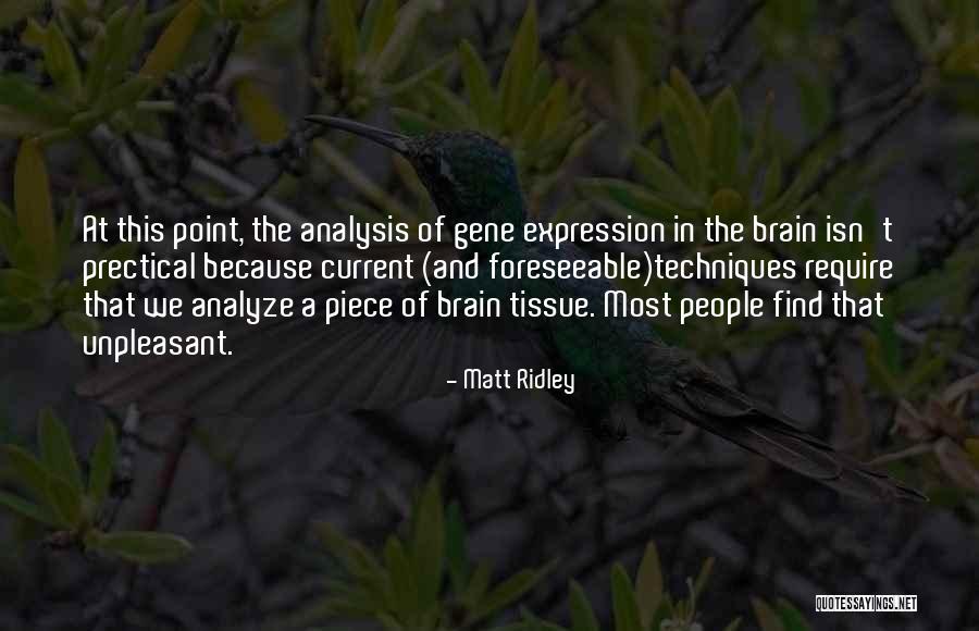 Matt Ridley Quotes 1892665