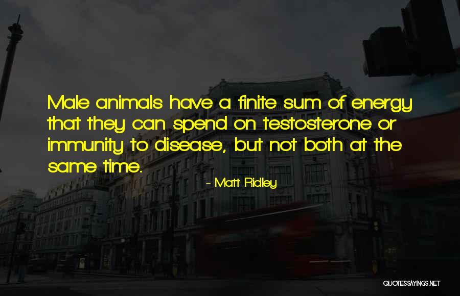 Matt Ridley Quotes 427318