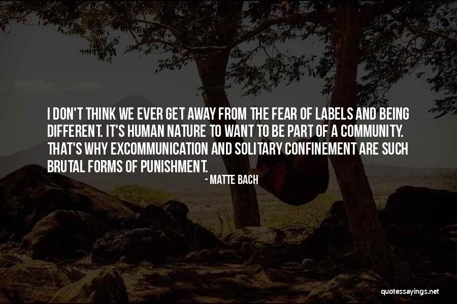 Matte Bach Quotes 744530 Matte Bach Quotes 744530