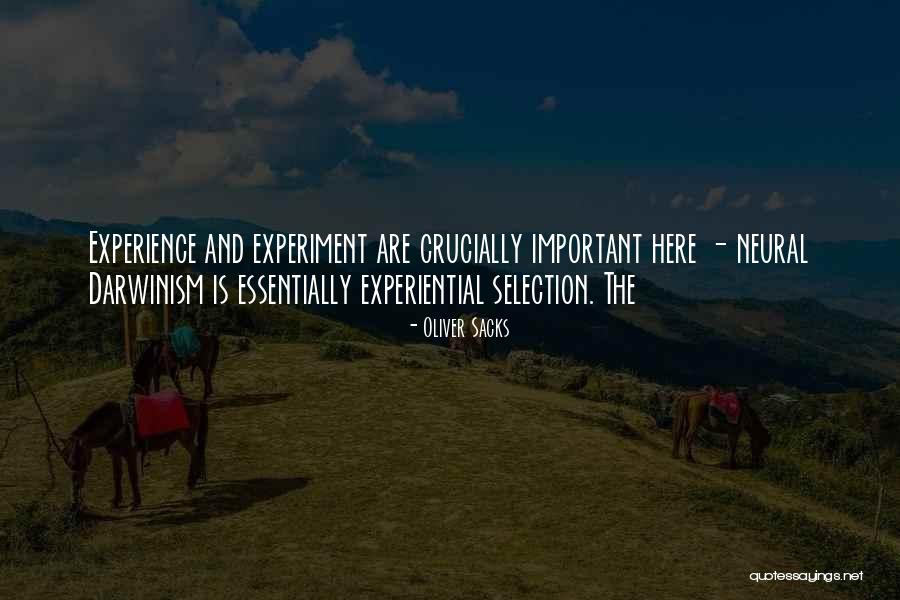 Matteis Los Olivos Quotes By Oliver Sacks Matteis Los Olivos Quotes By Oliver Sacks