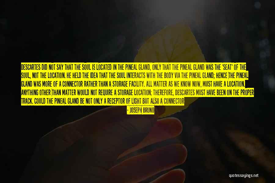 Matter And Energy Quotes By Joseph Bruno