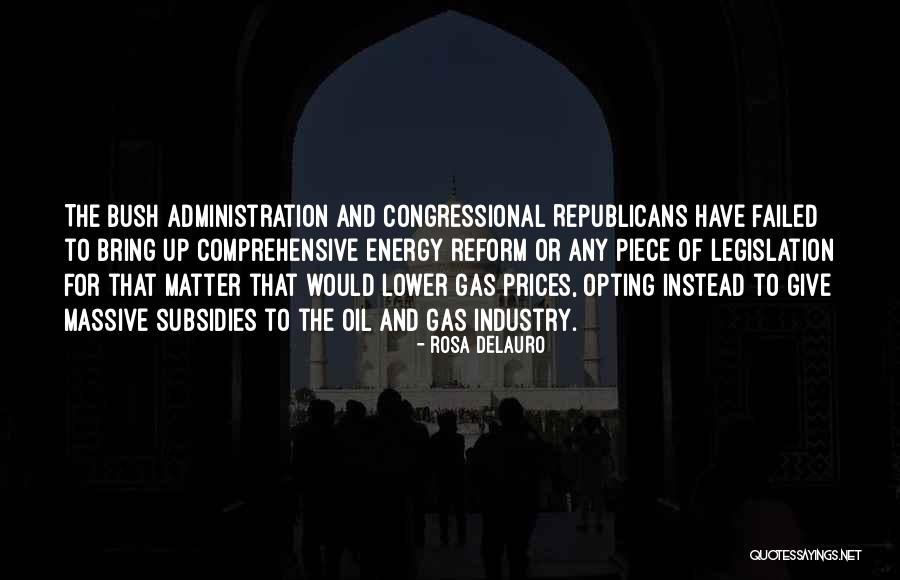 Matter And Energy Quotes By Rosa DeLauro