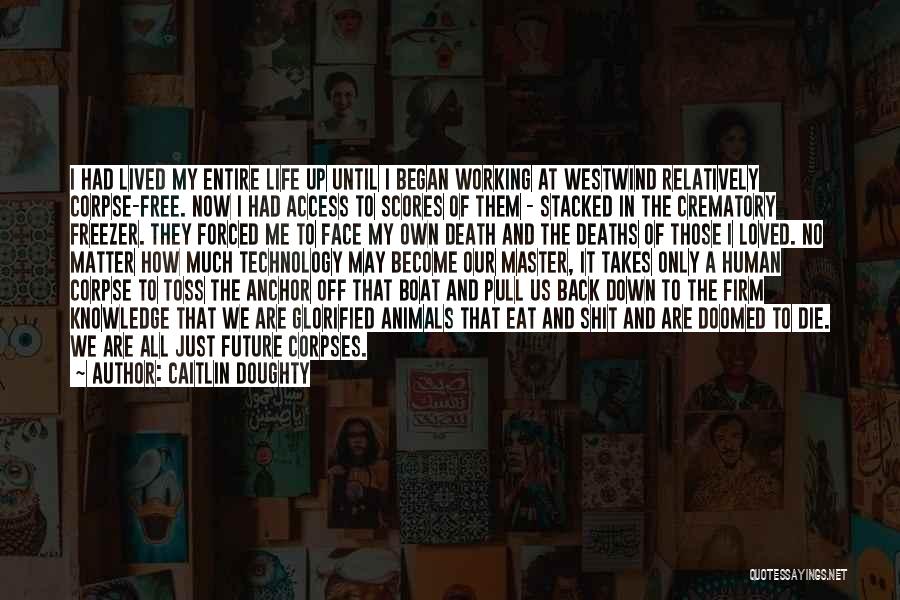 Matter Of Life And Death Quotes By Caitlin Doughty