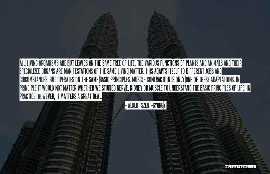 Matter Of Principles Quotes By Albert Szent-Gyorgyi Matter Of Principles Quotes By Albert Szent-Gyorgyi