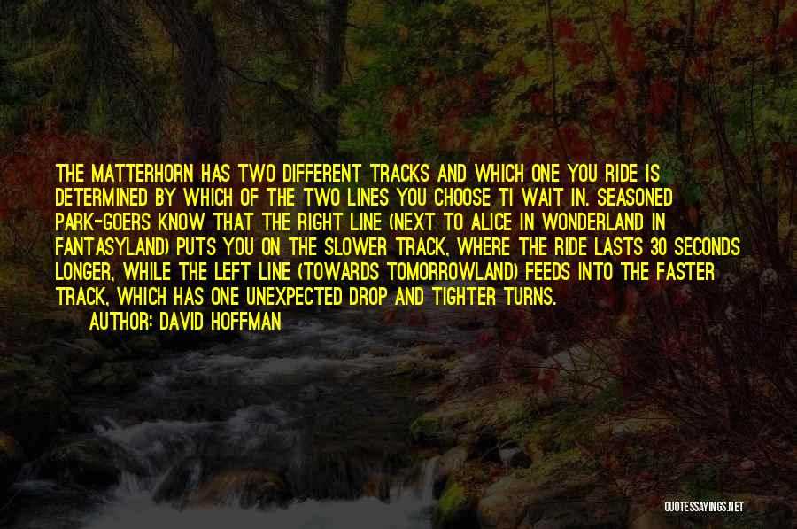 Matterhorn Quotes By David Hoffman