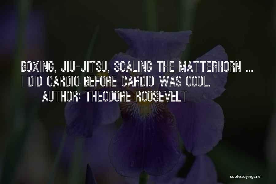 Matterhorn Quotes By Theodore Roosevelt